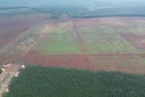 Đồng Nai “chốt” ngày đấu giá khu đất 56ha trị giá 789 tỷ