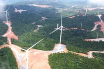 Quảng Trị chấm dứt chủ trương đầu tư 5 dự án điện gió