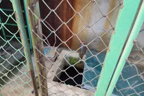 Hà Tĩnh: Xót xa bé trai tử vong trong bể chứa nước ở trường mầm non