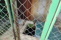 Hà Tĩnh: Xót xa bé trai tử vong trong bể chứa nước ở trường mầm non