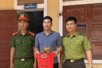 Người dân Quảng Bình giao nộp cá thể cu li quý hiếm