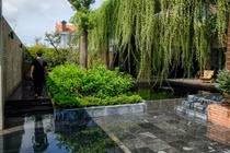 Ngắm ngôi nhà như tấm rèm xanh lạ mắt tại Quảng Ninh 