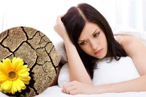 Khô âm đạo ảnh hưởng đến quan hệ tình dục thế nào?