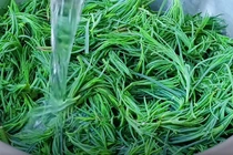 Loại rau dại xưa ít người biết nay thành "đặc sản" giúp thanh nhiệt, bổ phổi