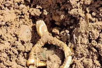 Bất ngờ tìm thấy "kho báu" lúc dò kim loại trên cánh đồng