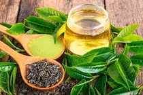 Mùa xuân đến, làm những điều này để tốt cho sức khoẻ