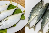 Loại cá giàu dinh dưỡng, ngừa đột quỵ, cải thiện trí nhớ