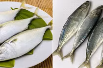 Loại cá giàu dinh dưỡng, ngừa đột quỵ, cải thiện trí nhớ