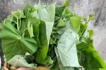 Lợi ích tuyệt vời của loại thực phẩm được ví là "rau trường thọ"