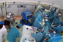 Cứu sống ngoạn mục bệnh nhi 8 tuổi sốc nhiễm khuẩn kháng trị 