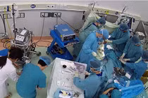 Cứu sống ngoạn mục bệnh nhi 8 tuổi sốc nhiễm khuẩn kháng trị 