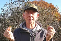 Dò kim loại trên cánh đồng, bất ngờ đụng trúng "kho báu"