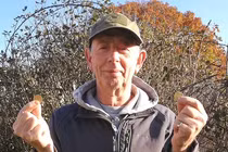 Dò kim loại trên cánh đồng, bất ngờ đụng trúng "kho báu"