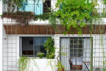 Ngắm ngôi nhà hướng Tây với khu vườn trên cao độc đáo ở Nha Trang