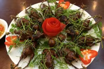 Món ngon từ chim sẻ giúp bổ thận, tráng dương