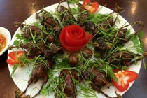 Món ngon từ chim sẻ giúp bổ thận, tráng dương