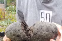 Đi dạo vấp phải "tảng đá" kỳ lạ, không ngờ là "báu vật" hơn 30 tỷ