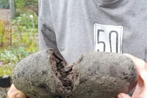 Đi dạo vấp phải "tảng đá" kỳ lạ, không ngờ là "báu vật" hơn 30 tỷ