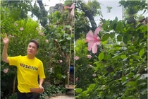 Khu vườn xanh mướt trong biệt thự của Đàm Vĩnh Hưng