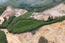 Lý do Cty Cổ phần Vận tải và Xây dựng 2/9 bị phạt 300 triệu đồng