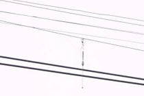 Mất cả chi thể, hoại tử ngực, tổn thương tạng... do câu cá dưới đường điện