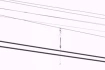 Mất cả chi thể, hoại tử ngực, tổn thương tạng... do câu cá dưới đường điện