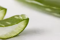 4 cách sử dụng nha đam làm đẹp da