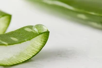 4 cách sử dụng nha đam làm đẹp da