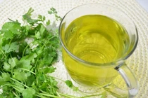 Uống nước lá rau mùi lợi ích không ngờ