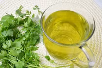 Uống nước lá rau mùi lợi ích không ngờ