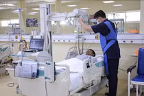 Dọn vườn, người đàn ông bị ong vò vẽ đốt hơn 50 vết