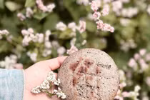 Lạ miệng 10 món làm từ hoa