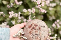 Lạ miệng 10 món làm từ hoa