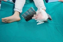 Bé trai 12 tuổi bị kẹp chân vào thang cuốn khi đi trung tâm thương mại