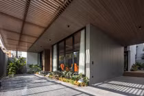 Chiêm ngưỡng ngôi nhà nhiệt đới chứa cả “khu rừng” bên trong