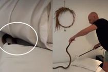 Đột nhiên thấy gối cứng, phát hiện tử thần bên trong 