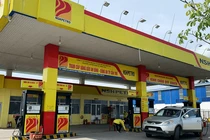 Dầu khí Nam Sông Hậu chìm trong thua lỗ, Chủ tịch muốn bán 2 triệu CP