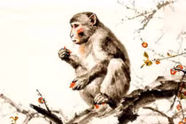 Tử vi tuần mới (21 - 27/10): 3 con giáp giàu sang, phú quý 