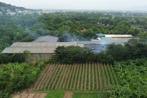 Hà Nội: Công trình, nhà xưởng xây trên đất nông nghiệp ở Vân Côn?