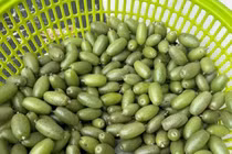 Nhót xanh bất ngờ tăng giá 