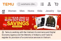 Temu tạm dừng hoạt động, người tiêu dùng làm gì để không mất tiền, hàng 