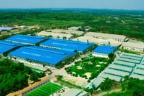 Bị phạt hơn 400 triệu đồng, Công ty Cổ phần Trung Đông vi phạm thế nào?