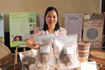 TS.NGUYỄN THỊ HỒNG GẤM: Trầm hương từ cây dó bầu không thua kém trầm tự nhiên