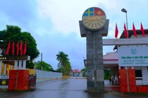 Thanh tra Tổng Công ty Giấy Việt Nam về quản lý đất nông, lâm nghiệp