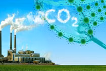 Triển khai thị trường carbon có dễ?