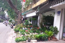 Vỉa hè đường Hoàng Hoa Thám bị chiếm dụng tràn lan