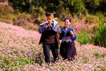 Về Yên Bái trải nghiệm lễ hội hoa Tớ dày