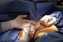 Thẩm mỹ Dr. Vinh Lê bị tước giấy phép hoạt động