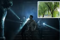 Chỉ cần nhìn thấy cây này, dân trộm mộ cổ đều xanh mặt "chạy mất dép" 