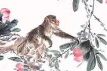 Tử vi tuần mới (16 - 22/12): 3 con giáp vượng phát, may mắn 